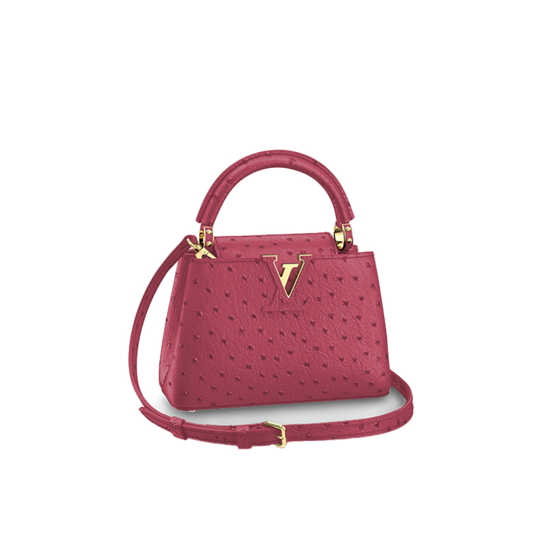 LOUIS VUITTON CAPUCINES MINI M95509 (21*14*8cm) 